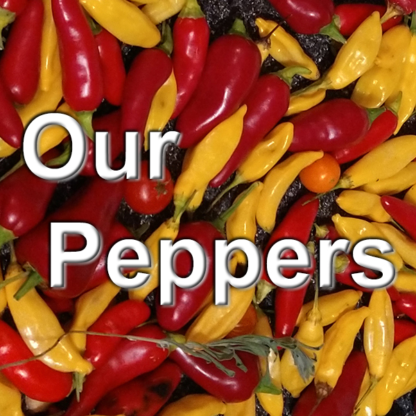 our peppers